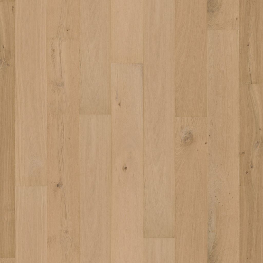5040306119_main_image.jpg