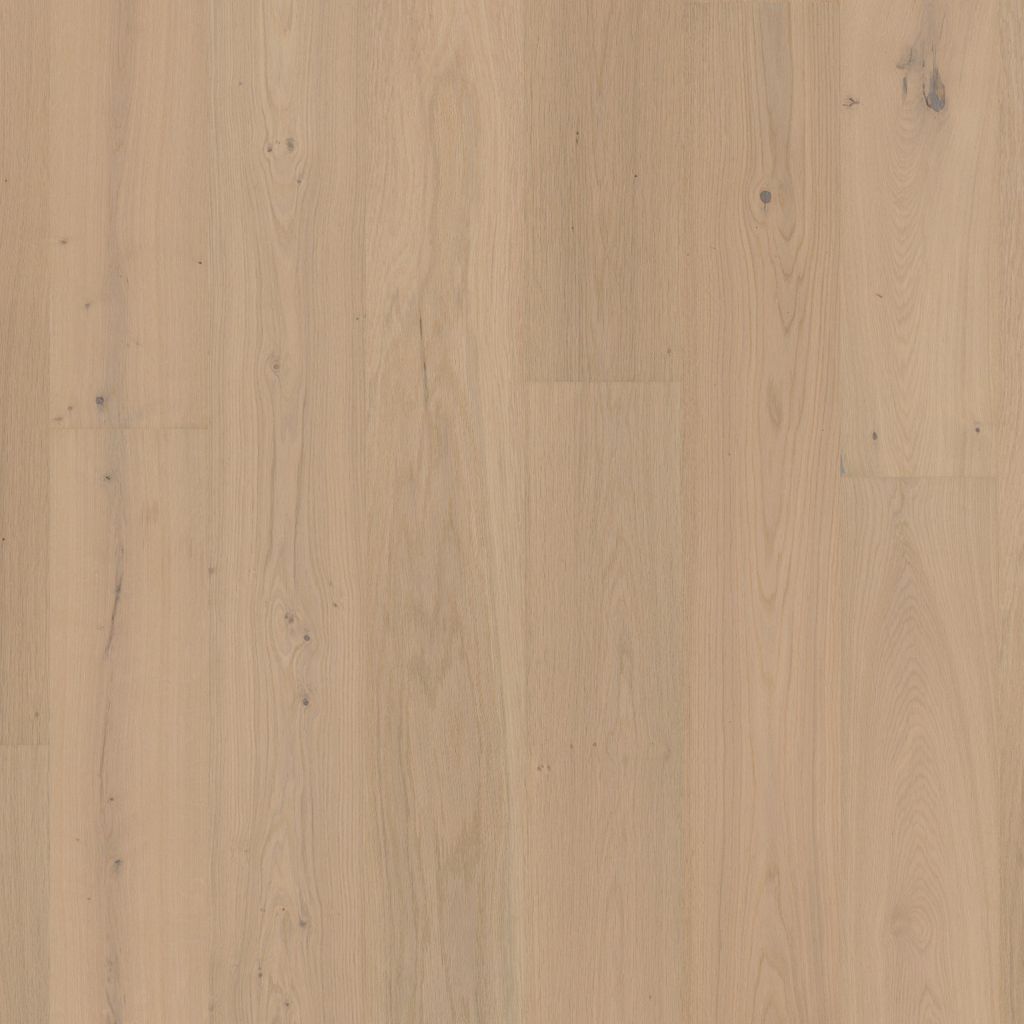 5048101219_main_image.jpg