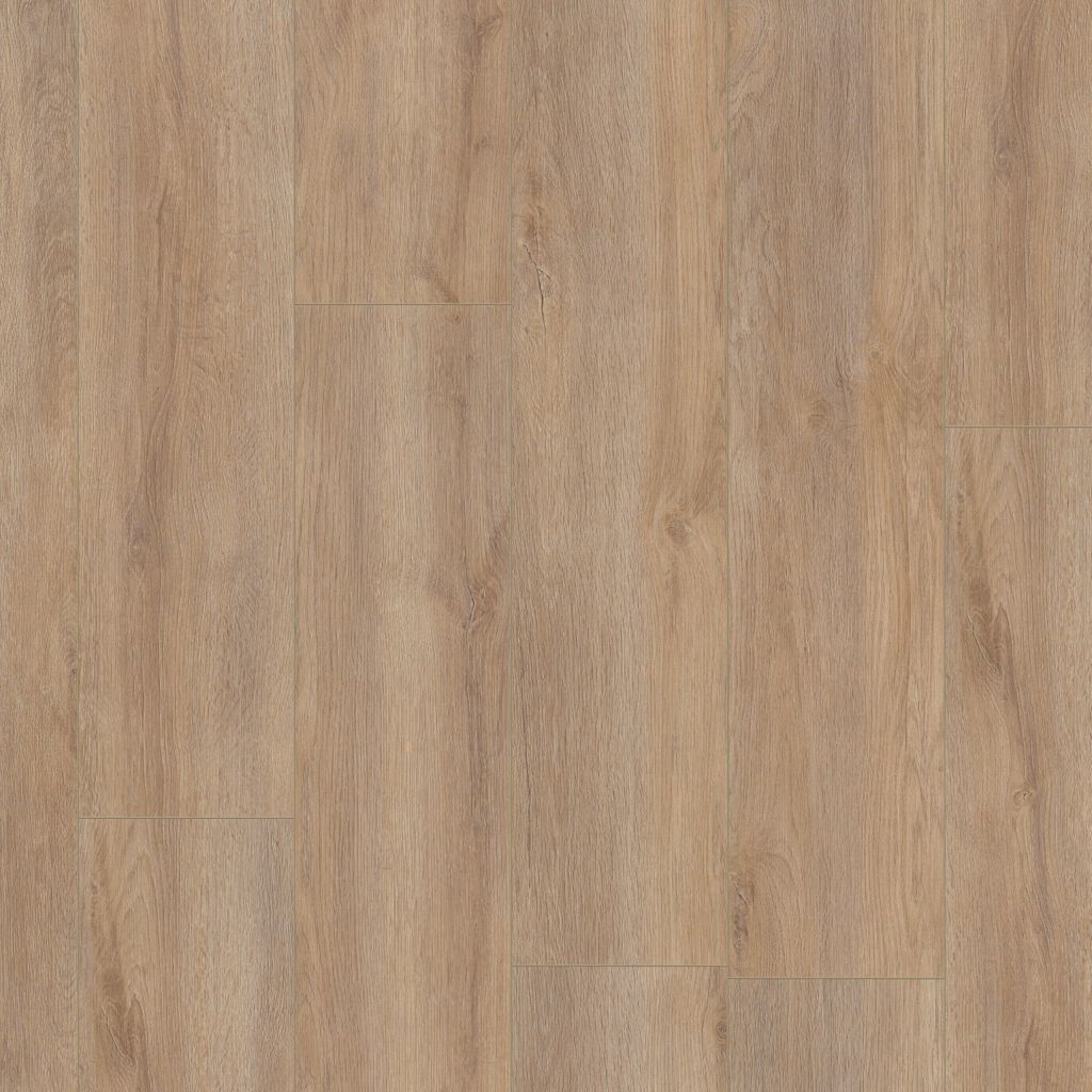 5061495419_main_image.jpg