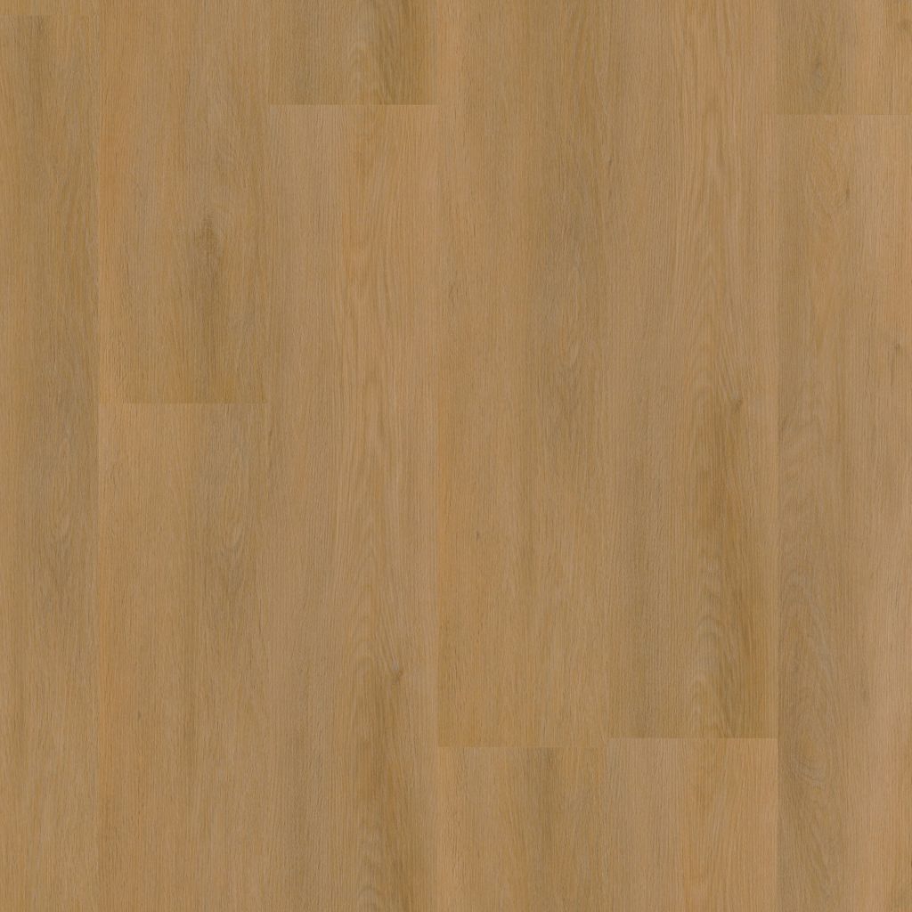 6011831019_main_image.jpg