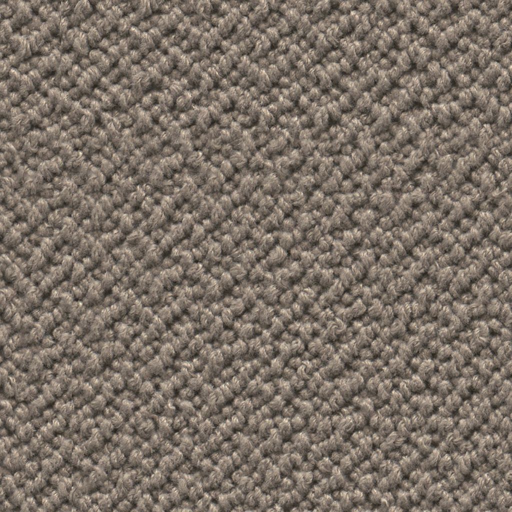 Tide Doria Clanton taupe 0101