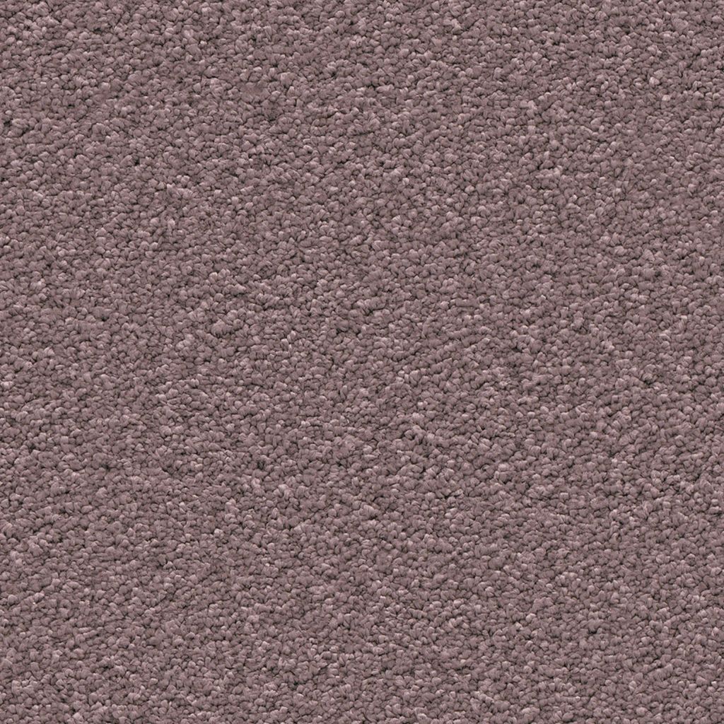 Newport lila 0560
