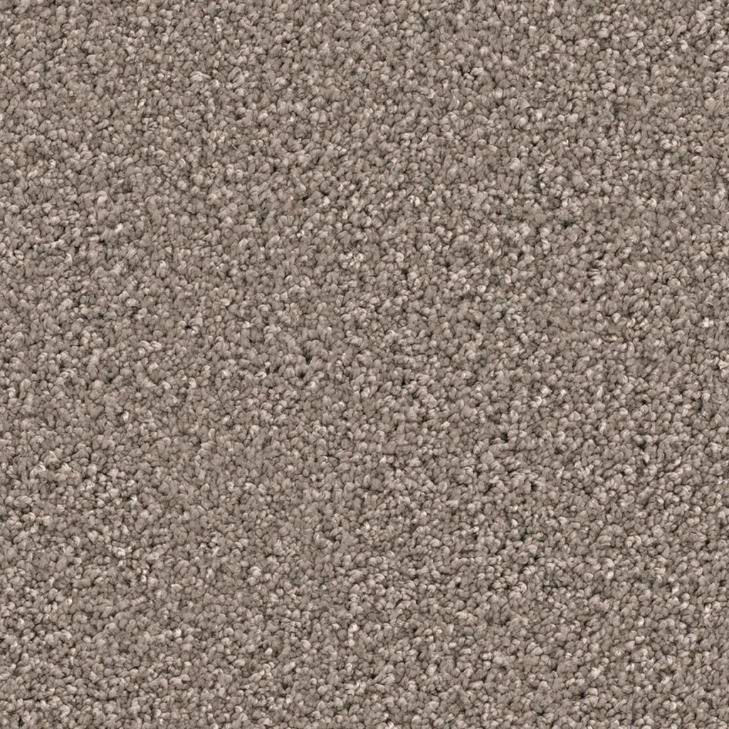 Newberry greige 0195