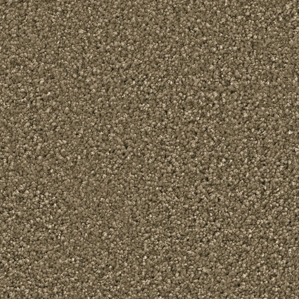 Newberry olijf 0912