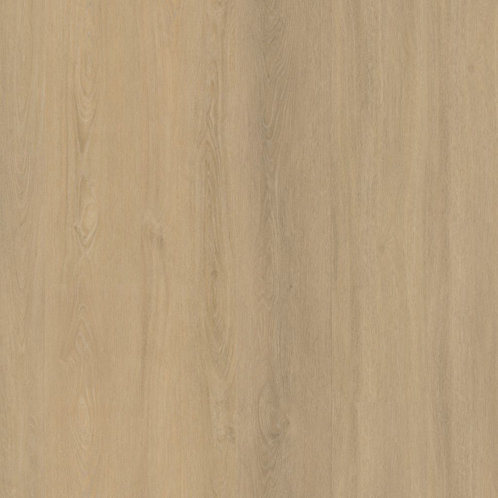 Sutton dryback 10dB warm beige