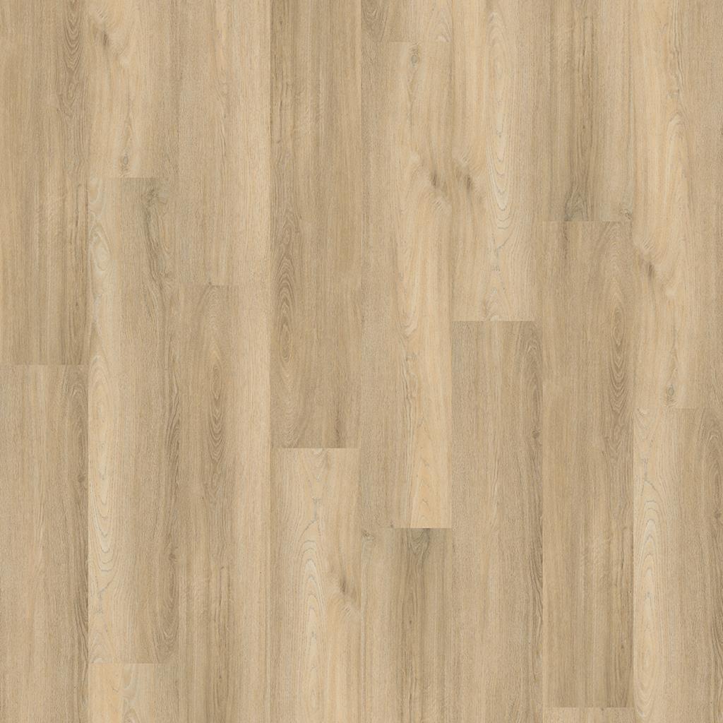 Paddington dryback beige